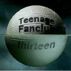 cd teenage fanclub - thirteen (1993)
