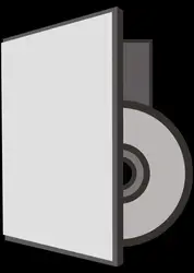 dvd flying dagger