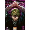 livre jujutsu kaisen - tome 17