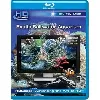 blu-ray exotic saltwater aquarium