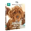 blu-ray nos animaux : doux dehors, sauvages dedans