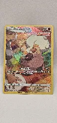 carte pokemon rocabot tg07/tg30