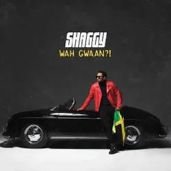 cd shaggy - wah gwaan?! (2019)