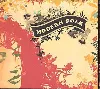 cd various - modern folk (2006)
