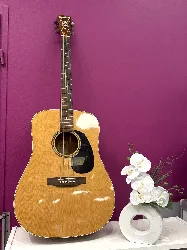 guitare blueridge br-60