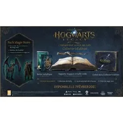 jeu ps4 hogwarts legacy : l'héritage de poudlard - collector's edition