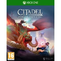 jeu xbox one citadel forged with fire one