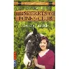 livre les secrets du poney club - numéro 7 complot au club