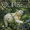 livre ours : esprits de la nature