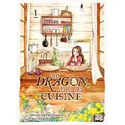 livre un dragon dans ma cuisine t01