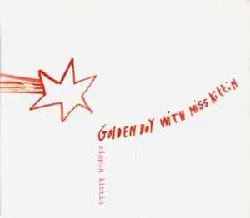 cd golden boy with miss kittin - rippin kittin (2002)
