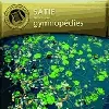 cd gymnopédies - oeuvres pour piano