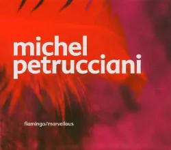 cd michel petrucciani - marvellous / flamingo (2004)