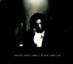 cd terence trent d'arby - let her down easy (1993)
