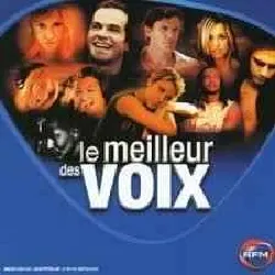 cd various - le meilleur des voix (2004)