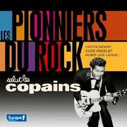 cd various - les pionniers du rock (2014)