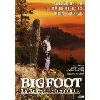 dvd bigfoot - la rencontre inoubliable