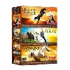 dvd coffret passion équitation 3 : l'étalon sauvage - le cheval de klara - tornado, l'étalon du désert