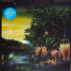 vinyle fleetwood mac - tango in the night (1987)