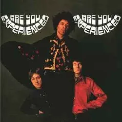 vinyle the jimi hendrix experience - are you experienced (2015)