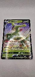 carte geante viridium v pokemon