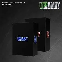 cd oddinary stray kids