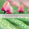 cd revitalize [import]