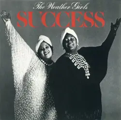 cd the weather girls - success (1994)