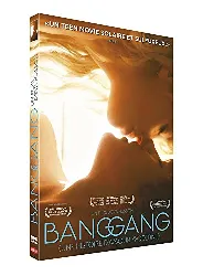 dvd bang gang (une histoire d'amour moderne)