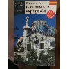 livre l'essentiel de la grammaire espagnole