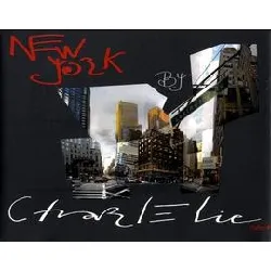 livre new york by charlélie