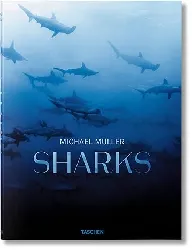 livre requins - rencontre avec le prédateur menacé des océans - occasion