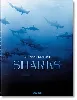 livre requins - rencontre avec le prédateur menacé des océans - occasion