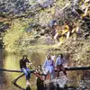 vinyle wings - wild life (1971)