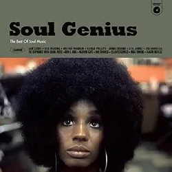 livre soul genius