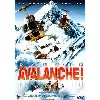 dvd danger avalanche !