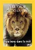 dvd national geographic : trois lions dans la nuit