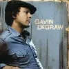cd gavin degraw - gavin degraw (2008)