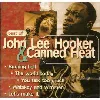 cd john lee hooker - best of (1996)