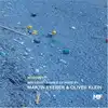 cd martin eyerer & oliver klein - movement (2007)
