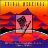 cd various - tribal meetings native american and andean flute music