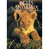 livre bebes animaux. portraits du monde amiral
