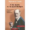 livre cinq leçons sur la psychanalyse