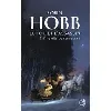livre le fou et l'assassin tome 3 - en quête de vengeance