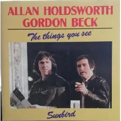 cd allan holdsworth - the things you see / sunbird (1989)