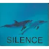 cd various - silence (2000)