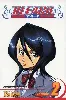 livre bleach v02
