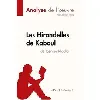 livre les hirondelles de kaboul de yasmina khadra (analyse de l'oeuvre)