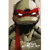 livre teenage mutant ninja turtles - les tortues ninja intégrale tome 1