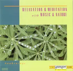 cd david miles huber - relaxation & meditation with music & nature - awakenings (1993)